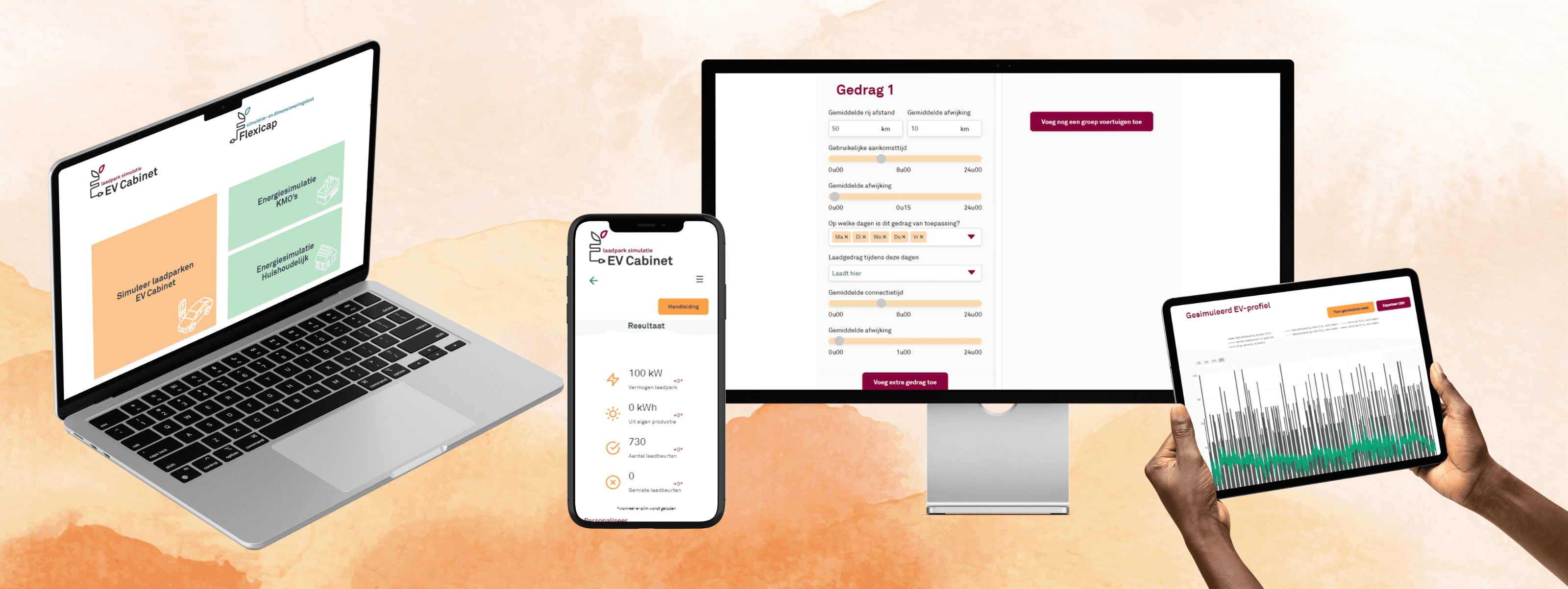 EV-cabinet interface on desktop, tablet and mobile: graph, summary, forms